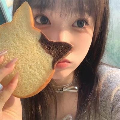 翠迪斗智黑猫